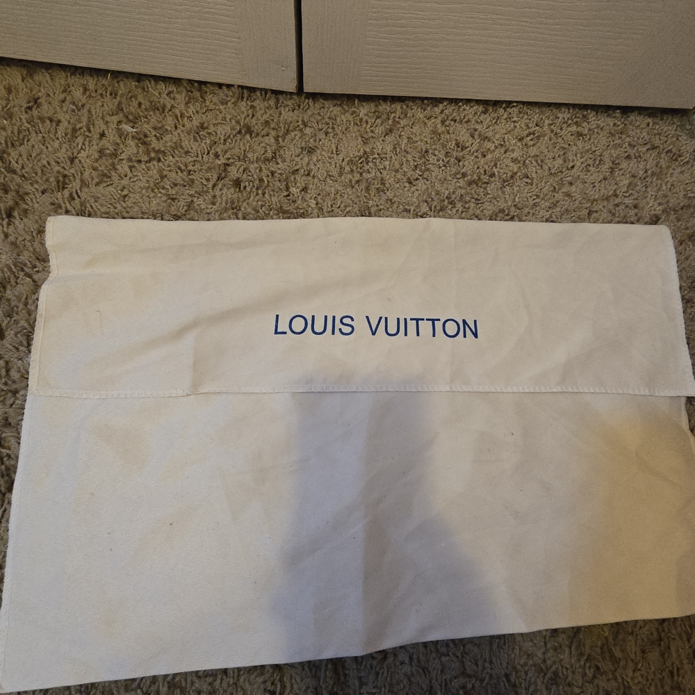 Louis Vuitton Large Dustbag